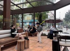 The 'Meo Meo' Trend: How Excessive Content Creation is Changing Cafe Culture Etiquette - image 3