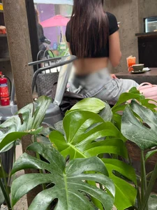 The 'Meo Meo' Trend: How Excessive Content Creation is Changing Cafe Culture Etiquette - image 4