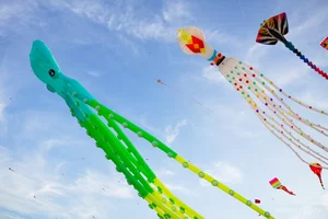Spectacular 'Seafood' Kites Take Flight Over Khanh Hoa's Scenic Rice Fields - image 2