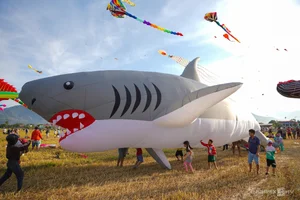 Spectacular 'Seafood' Kites Take Flight Over Khanh Hoa's Scenic Rice Fields - image 4