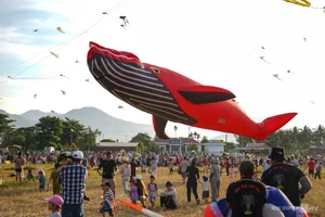 Spectacular 'Seafood' Kites Take Flight Over Khanh Hoa's Scenic Rice Fields - image 10
