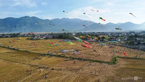 Spectacular 'Seafood' Kites Take Flight Over Khanh Hoa's Scenic Rice Fields - image 9