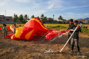 Spectacular 'Seafood' Kites Take Flight Over Khanh Hoa's Scenic Rice Fields - image 1