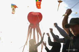 Spectacular 'Seafood' Kites Take Flight Over Khanh Hoa's Scenic Rice Fields - image 8