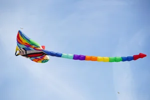 Spectacular 'Seafood' Kites Take Flight Over Khanh Hoa's Scenic Rice Fields - image 5
