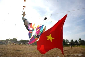 Spectacular 'Seafood' Kites Take Flight Over Khanh Hoa's Scenic Rice Fields - image 6