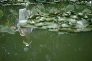 YiTuYu Art Language Vol.9523: Wu Ying Kun Kun Photo Series - image 19