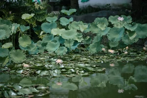 YiTuYu Art Language Vol.9523: Wu Ying Kun Kun Photo Series - image 1