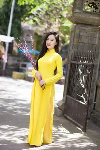 Elegant Vietnamese Ao Dai: Beautiful Traditional Dress Portrait Collection - image 0