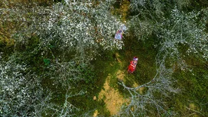 Experience Nghe An in 2024: A Comprehensive Guide to the 12 Best Attractions and Hidden Gems - image 8