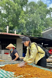 Tran Bao Son Enjoys Multi-Generational Thailand Vacation - image 5