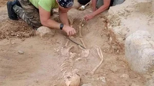 Unearthing the Vampire Graveyard: Archaeological Discoveries That Could Rewrite European History - image 6