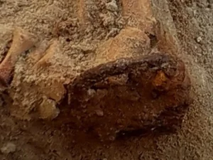 Unearthing the Vampire Graveyard: Archaeological Discoveries That Could Rewrite European History - image 0