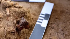 Unearthing the Vampire Graveyard: Archaeological Discoveries That Could Rewrite European History - image 5