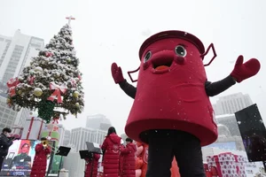 Winter Wonderland: Seoul Transformed by Heavy Snowfall - image 6