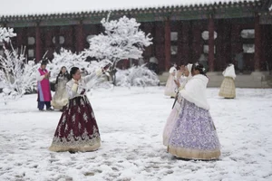 Winter Wonderland: Seoul Transformed by Heavy Snowfall - image 11