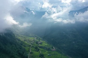 Breathtaking Early Golden Rice Season in Nam Cang Sapa - image 0