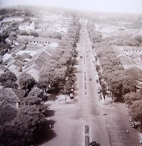 Historic Photos of Saigon's Most Beautiful Boulevard: A Nostalgic Journey - image 1