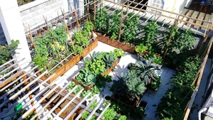 Transform Your Rooftop Into A Green Sanctuary: Modern Urban Oasis Inspiration For Slow Living - image 11