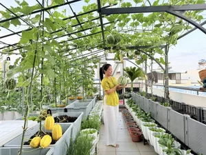 Transform Your Rooftop Into A Green Sanctuary: Modern Urban Oasis Inspiration For Slow Living - image 0