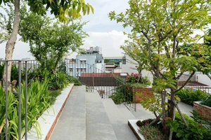 Transform Your Rooftop Into A Green Sanctuary: Modern Urban Oasis Inspiration For Slow Living - image 20