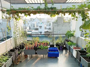 Transform Your Rooftop Into A Green Sanctuary: Modern Urban Oasis Inspiration For Slow Living - image 8