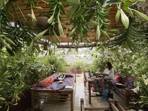Transform Your Rooftop Into A Green Sanctuary: Modern Urban Oasis Inspiration For Slow Living - image 5