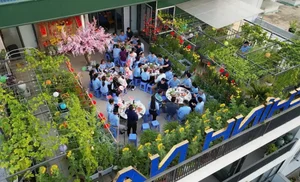Transform Your Rooftop Into A Green Sanctuary: Modern Urban Oasis Inspiration For Slow Living - image 4