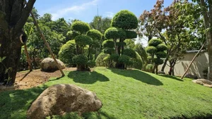 Inside Viet Trinh’s Serene Resort-Style Villa in Binh Duong: A Peaceful Sanctuary - image 2