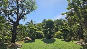 Inside Viet Trinh’s Serene Resort-Style Villa in Binh Duong: A Peaceful Sanctuary - image 5