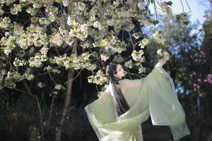 Urban Elegance: Art Language Vol.4276 Featuring Wu Sui in Blue - image 20
