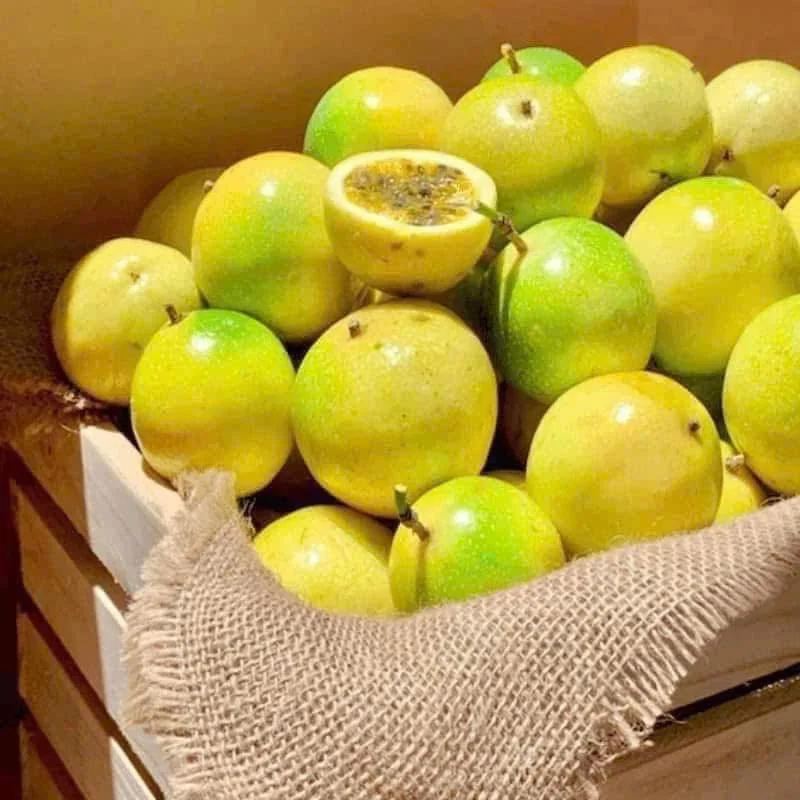 Exotic Guava-Scented Lemons Take the Vietnamese Fruit Market by Storm with Unique Aroma