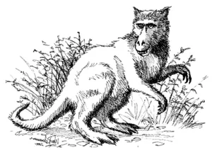 The Surprising Truth Behind the Legendary Beast That Haunted the Americas - image 1