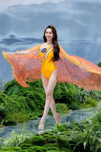 Miss Earth Vietnam Bikini Round: Controversy Over Fashion Choices and Pageant Professionalism - image 1