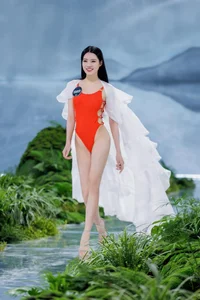 Miss Earth Vietnam Bikini Round: Controversy Over Fashion Choices and Pageant Professionalism - image 2