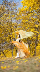 YiTuYu Art Language Vol.10580: Captivating Visuals of Model A Cheng Cheng - image 4