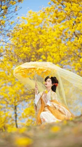 YiTuYu Art Language Vol.10580: Captivating Visuals of Model A Cheng Cheng - image 9