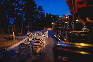 Top 7 Unforgettable Nightlife Experiences in Singapore for International Travelers - image 4