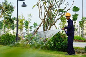 Grand Opening of Thanh Hoa Largest Beach Square in Sam Son - image 6