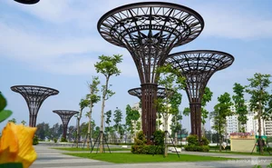 Grand Opening of Thanh Hoa Largest Beach Square in Sam Son - image 10