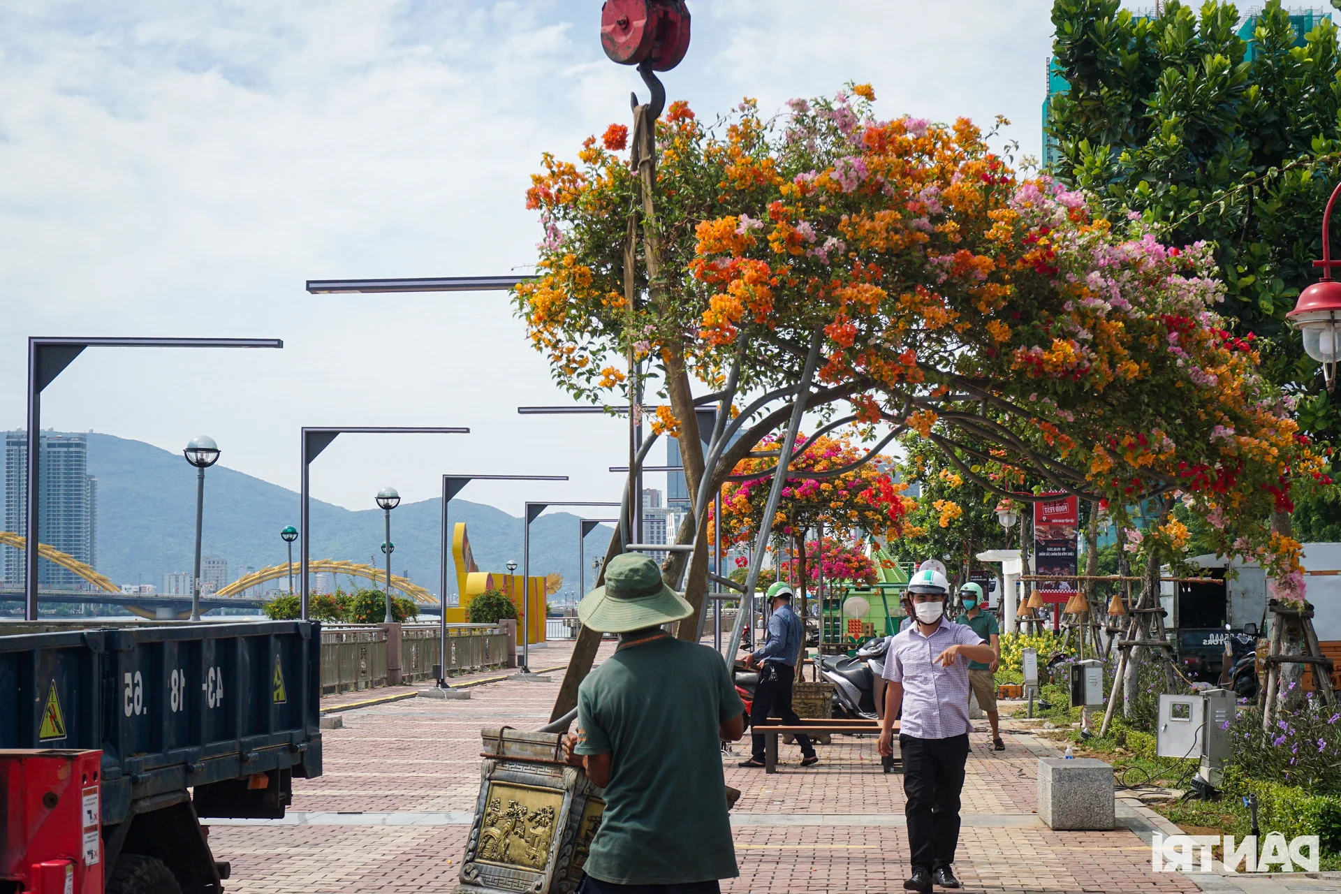 Exploring the Vibrant Han River Pedestrian Street Nightlife in Da Nang