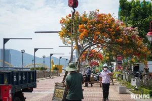 Exploring the Vibrant Han River Pedestrian Street Nightlife in Da Nang - image 7