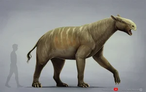 The Bizarre Chalicothere: Nature’s Half-Horse, Half-Primate Mystery - image 5