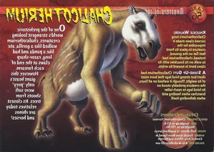 The Bizarre Chalicothere: Nature’s Half-Horse, Half-Primate Mystery - image 7