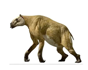 The Bizarre Chalicothere: Nature’s Half-Horse, Half-Primate Mystery - image 3