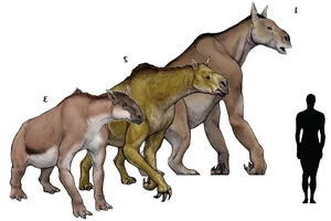 The Bizarre Chalicothere: Nature’s Half-Horse, Half-Primate Mystery - image 1