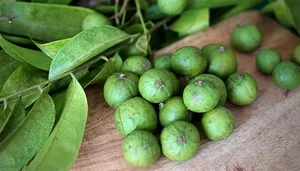 From Childhood Memory to Gourmet Menus: The Revival of Rustic Fruits - image 4