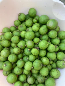 From Childhood Memory to Gourmet Menus: The Revival of Rustic Fruits - image 0