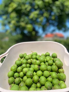 From Childhood Memory to Gourmet Menus: The Revival of Rustic Fruits - image 2
