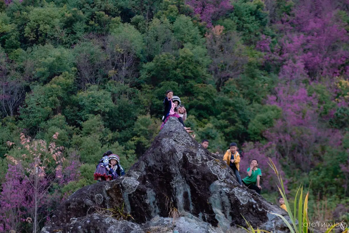 Discover Mù Cang Chải's Tớ Dày Flower Season: The Captivating Beauty of Northwestern Mountains Awaits You!